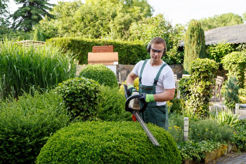Close-up of Shrub Pruning