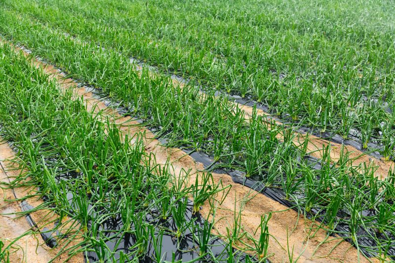 Soil and Nutrient Management