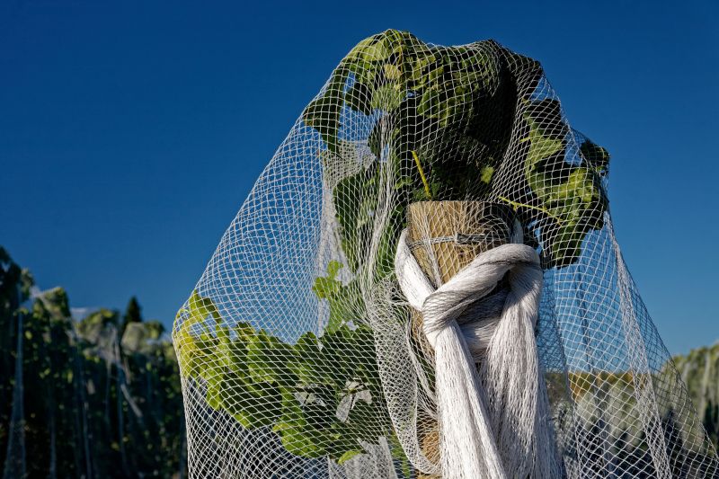 Common Pitfall to Avoid